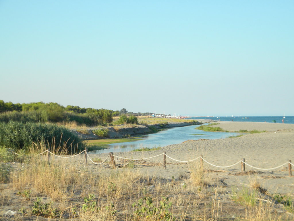 DSCN2607 .JPG